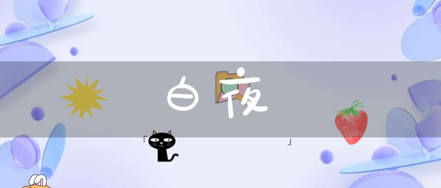 深度解析白夜行的艺术