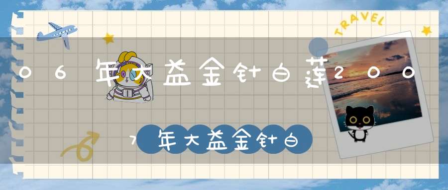 06年大益金针白莲2007年大益金针白莲价格