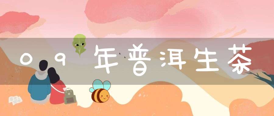 09年普洱生茶