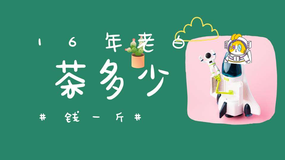 16年老白茶多少钱一斤?