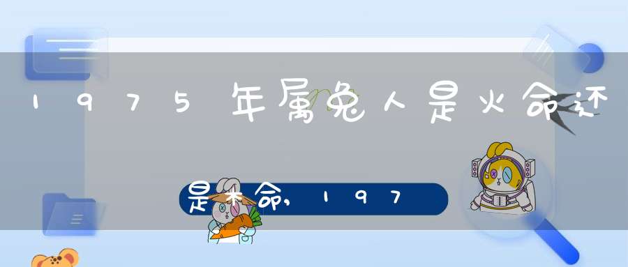 1975年属什么