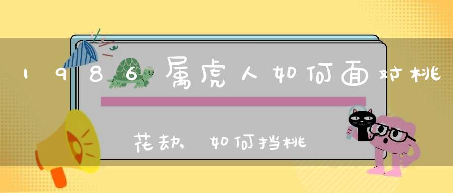 1986属虎人如何面对桃花劫,如何挡桃花劫