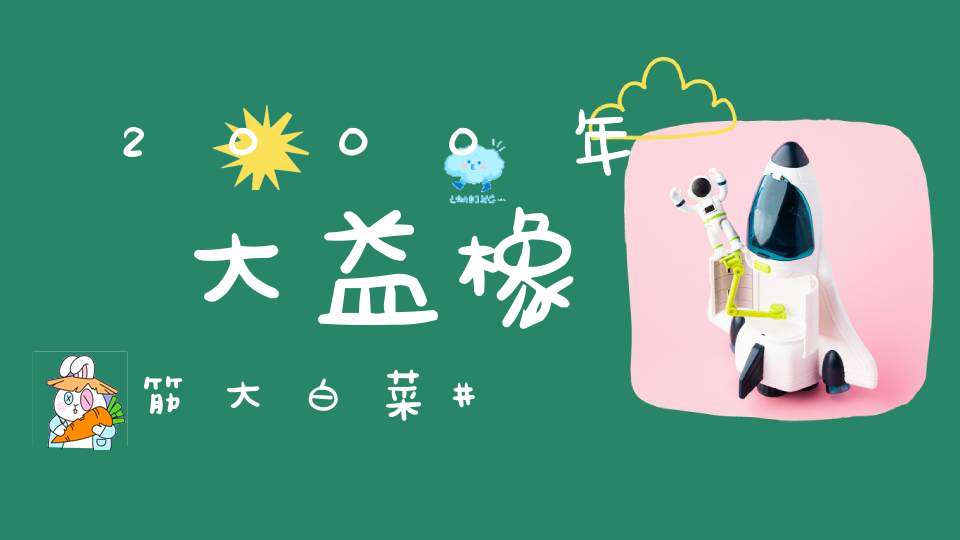 2000年大益橡筋大白菜