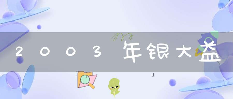 2003年银大益