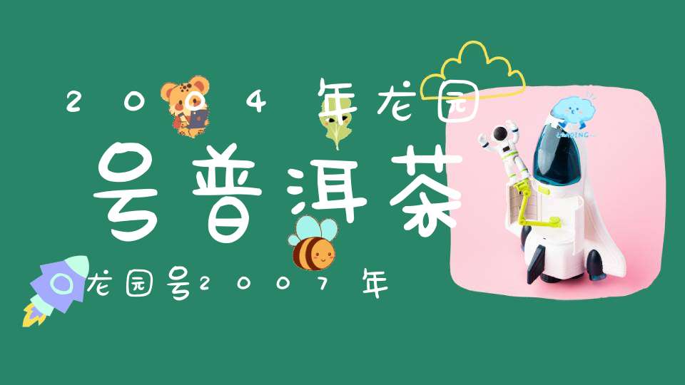 2004年龙园号普洱茶龙园号2007年普洱生茶价格