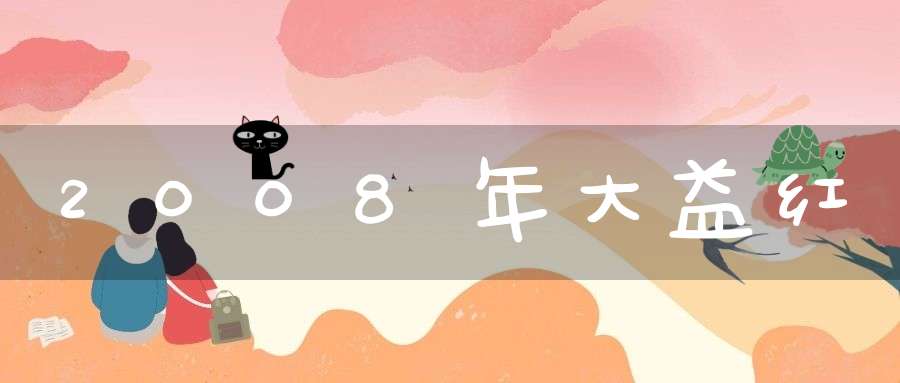 2008年大益红