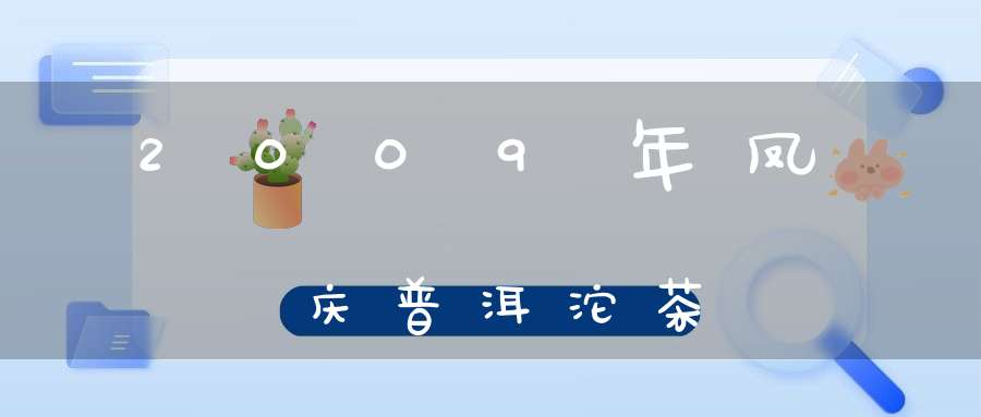 2009年凤庆普洱沱茶