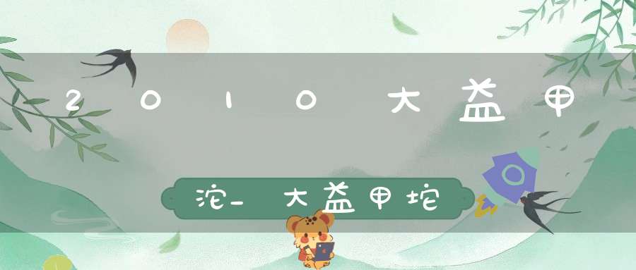 2010大益甲沱_大益甲坨