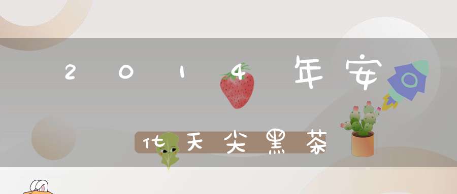 2014年安化天尖黑茶