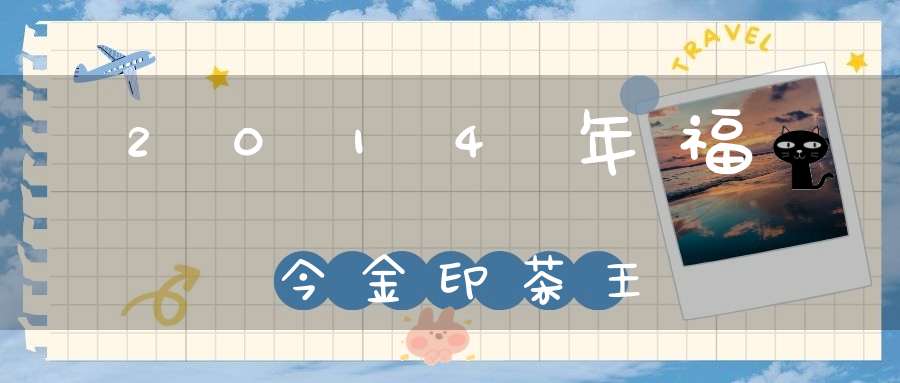 2014年福今金印茶王