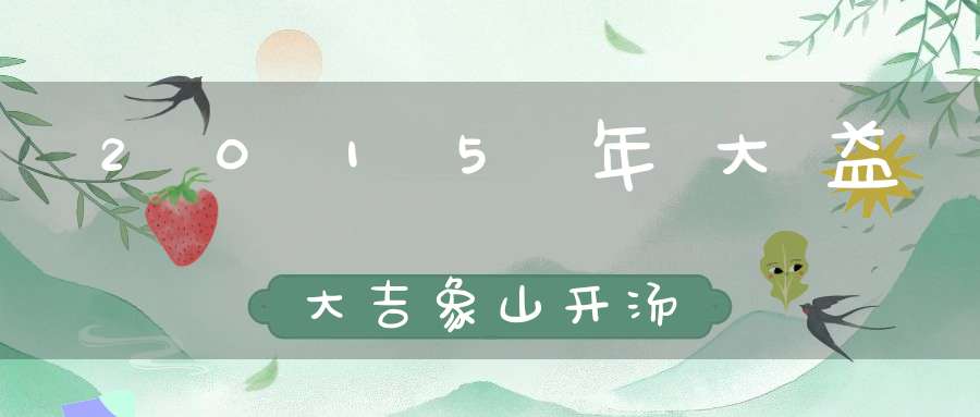 2015年大益大吉象山开汤