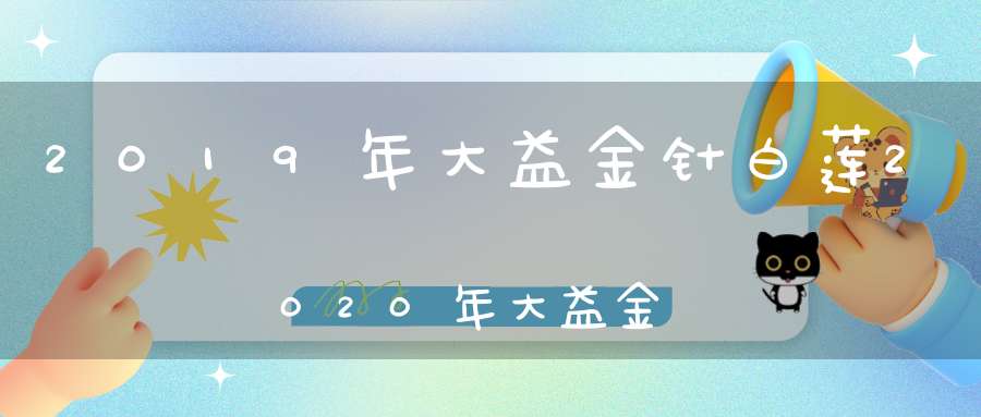2019年大益金针白莲2020年大益金针白莲