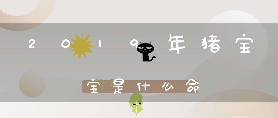 2019年猪宝宝是什么命