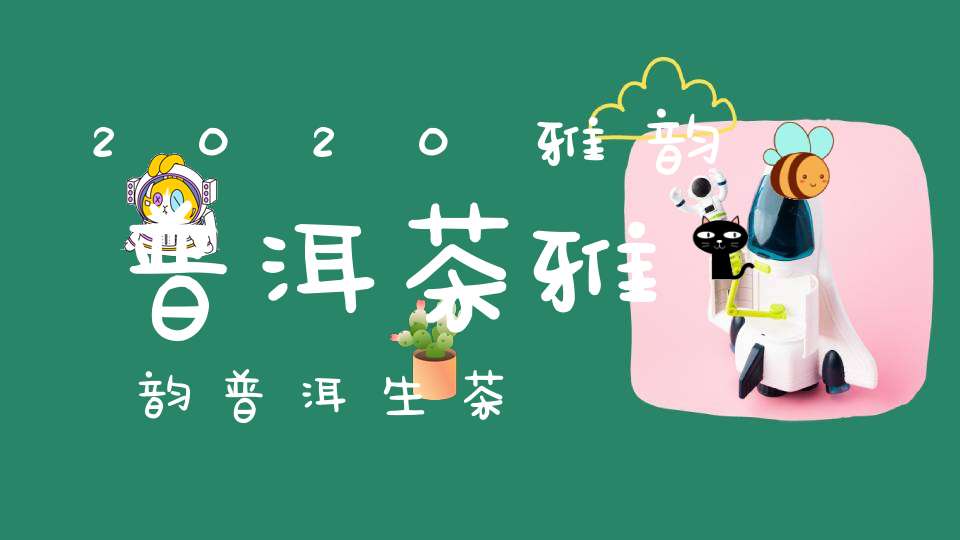 2020雅韵普洱茶雅韵普洱生茶