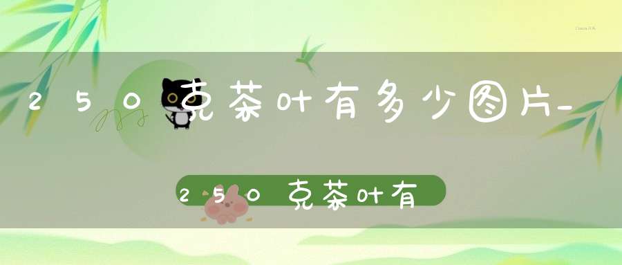 250克茶叶有多少图片_250克茶叶有多少根