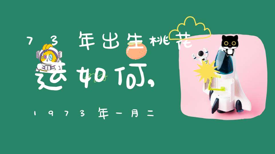 73年出生桃花运如何,1973年一月二十五午时出生的女人犯桃花运吗