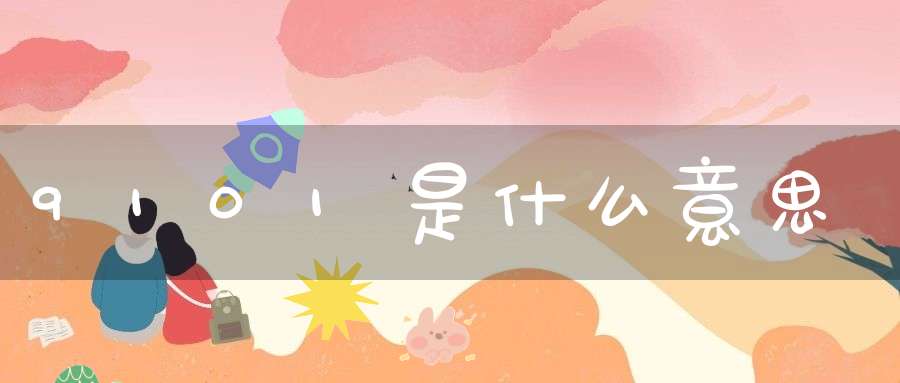 9101是什么意思