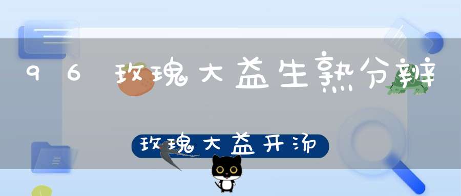 96玫瑰大益生熟分辨玫瑰大益开汤