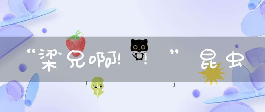 “梁兄啊！！” 昆虫