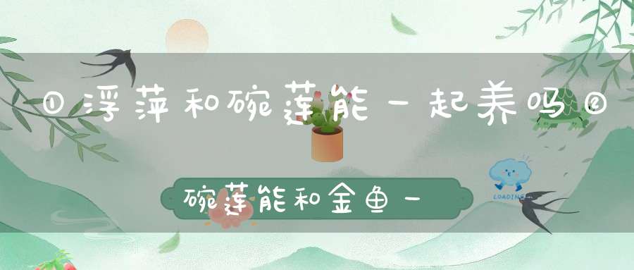 ①浮萍和碗莲能一起养吗②碗莲能和金鱼一起养吗？