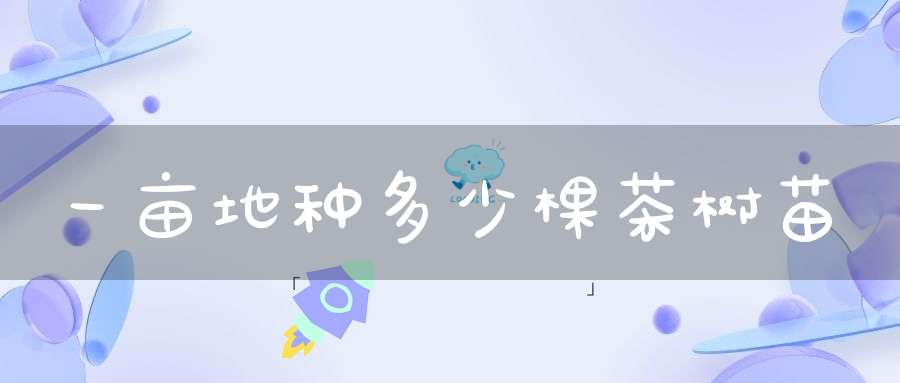 一亩地种多少棵茶树苗