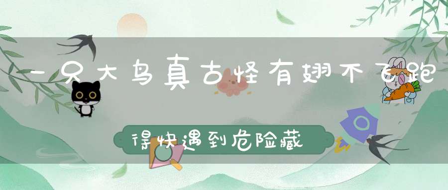 一只大鸟真古怪，有翅不飞跑得快，遇到危险藏脑袋，屁股留在沙堆外。 （猜一动物）