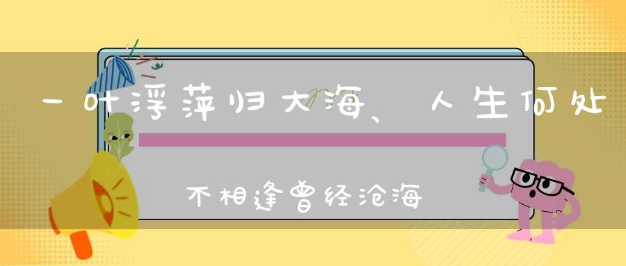 一叶浮萍归大海、人生何处不相逢曾经沧海难为水、除却巫山不？