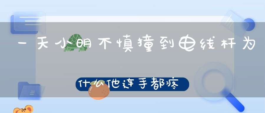 一天，小明不慎撞到电线杆，为什么他连手都疼