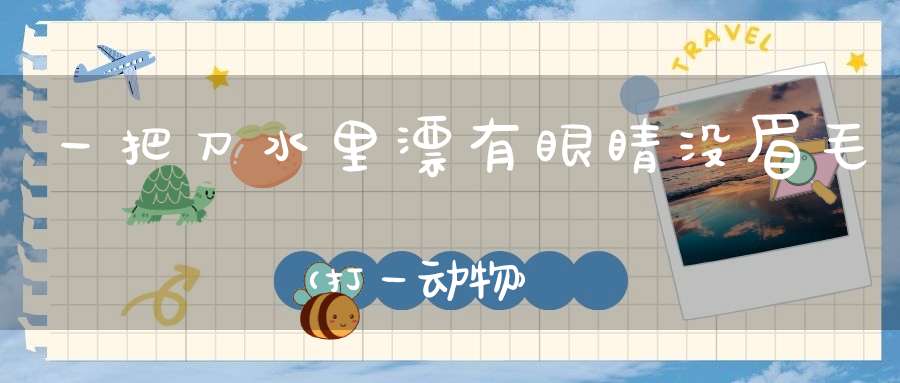 一把刀，水里漂， 有眼睛，没眉毛（打一动物）