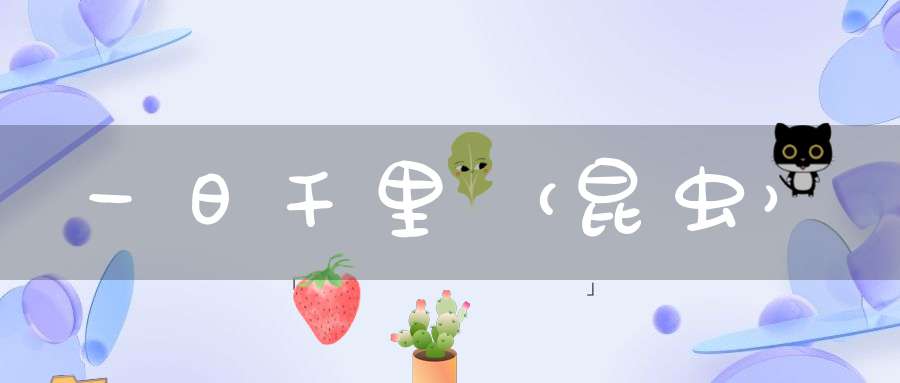 一日千里（昆虫）