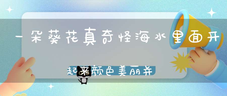 一朵葵花真奇怪，海水里面开起来，颜色美丽并不乖，小鱼小虾是它菜。 （猜一动物）
