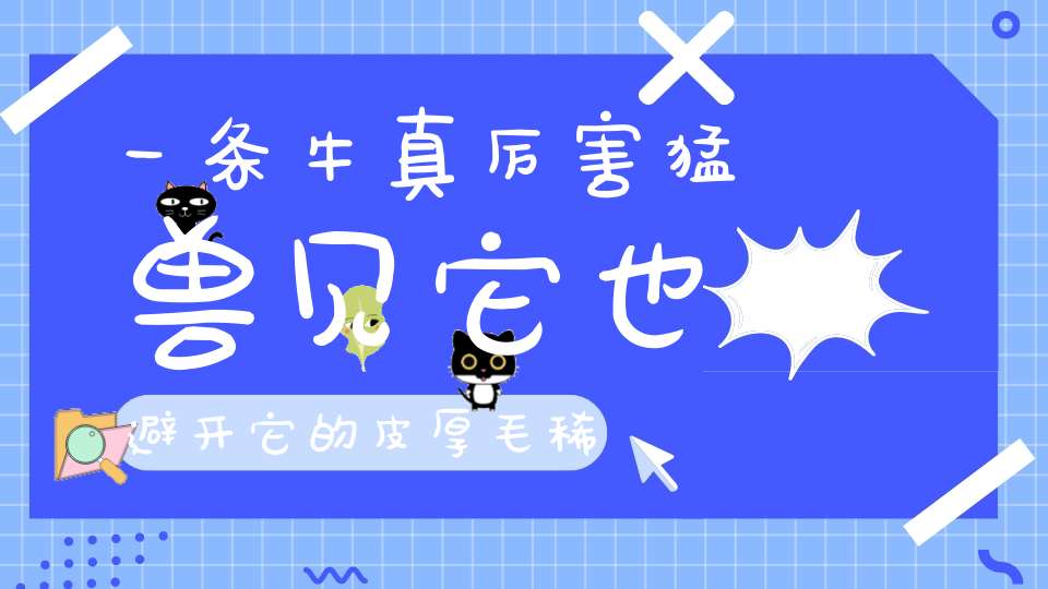一条牛，真厉害，猛兽见它也避开，它的皮厚毛稀少，长出角来当药
