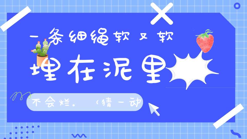 一条细绳软又软，埋在泥里不会烂。 （猜一动物）