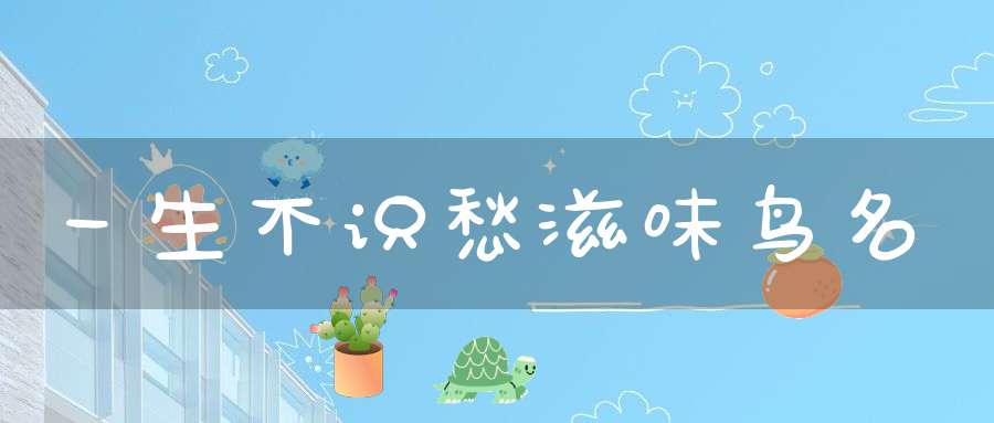 一生不识愁滋味 鸟名