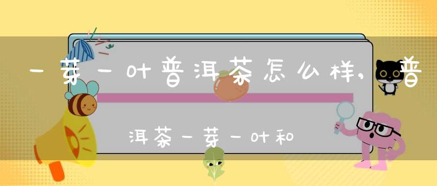 一芽一叶普洱茶怎么样,普洱茶一芽一叶和一芽二叶哪个更好