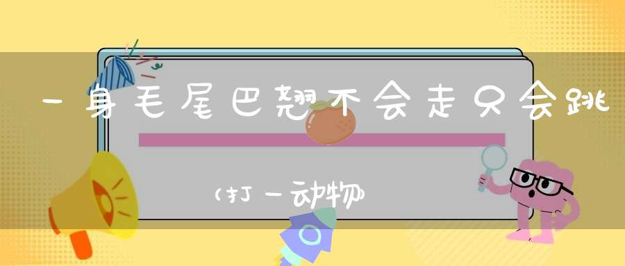 一身毛，尾巴翘，不会走，只会跳（打一动物）
