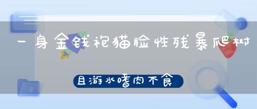 一身金钱袍，猫脸性残暴，爬树且游水，嗜肉不食草。（打一动物）