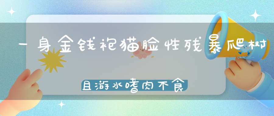 一身金钱袍，猫脸性残暴，爬树且游水，嗜肉不食草（打一动物）