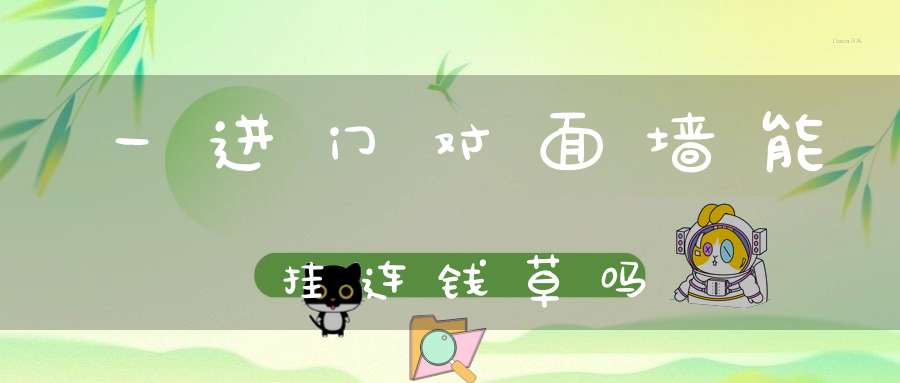 一进门对面墙能挂连钱草吗？