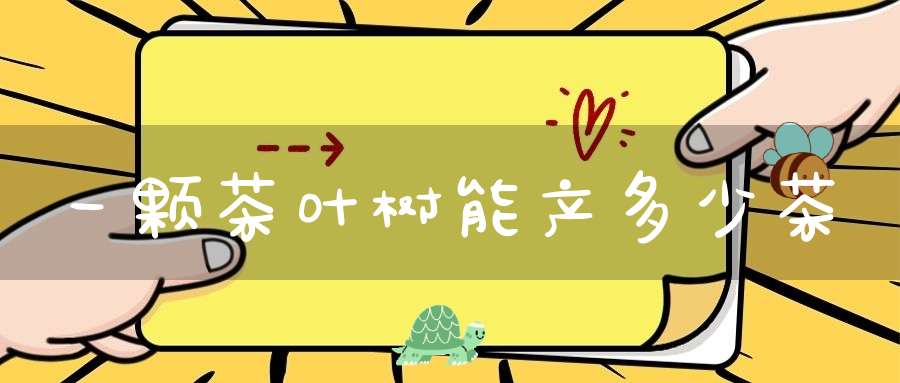 一颗茶叶树能产多少茶