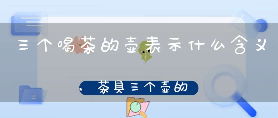 三个喝茶的壶表示什么含义,茶具三个壶的作用