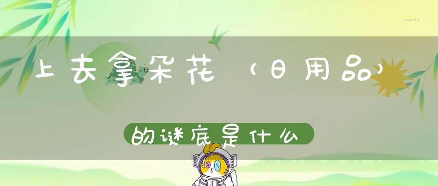 上去拿朵花 （日用品）的谜底是什么?