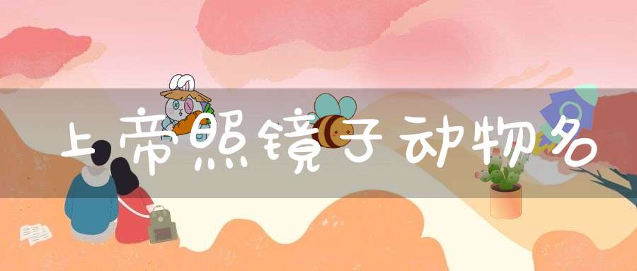 上帝照镜子  动物名