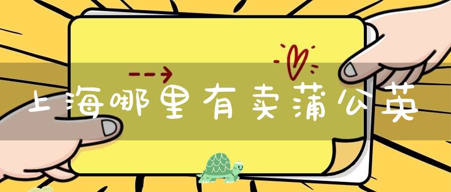 上海哪里有卖蒲公英？