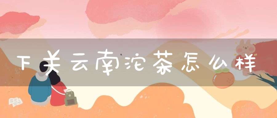 下关云南沱茶怎么样