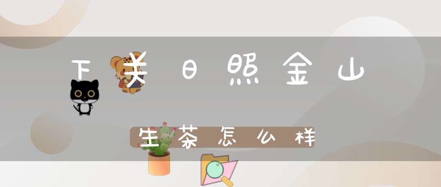 下关日照金山生茶怎么样