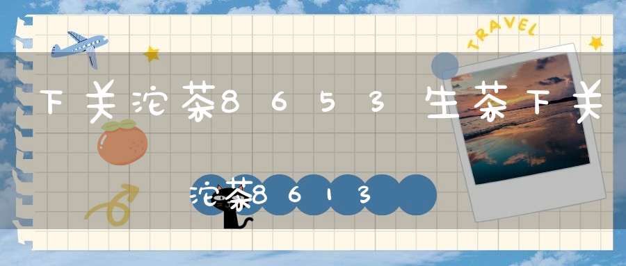 下关沱茶8653生茶下关沱茶8613