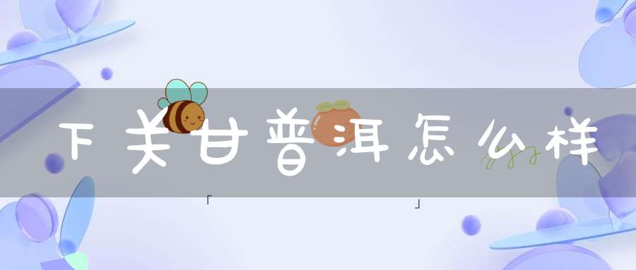 下关甘普洱怎么样