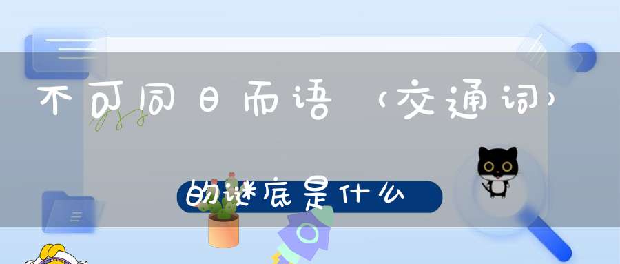 不可同日而语 （交通词）的谜底是什么?