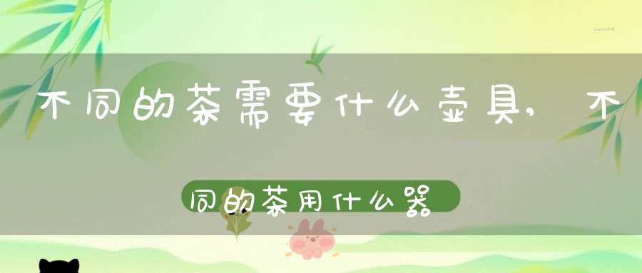 不同的茶需要什么壶具,不同的茶用什么器皿